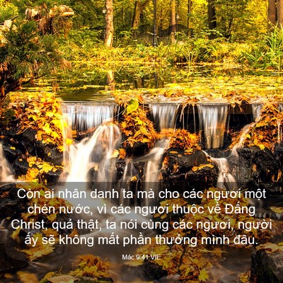 Picture 03 - Mác 9:41 VIE - Còn ai nhân danh ta mà cho các ngươi một - Bible Verse Picture