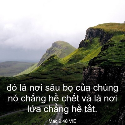 Picture 03 - Mác 9:48 VIE - đó là nơi sâu bọ của chúng nó chẳng - Bible Verse Picture