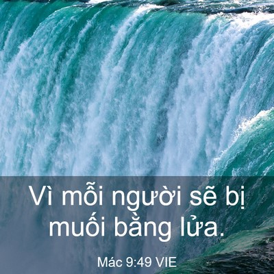 Picture 03 - Mác 9:49 VIE - Vì mỗi người sẽ bị muối bằng - Bible Verse Picture
