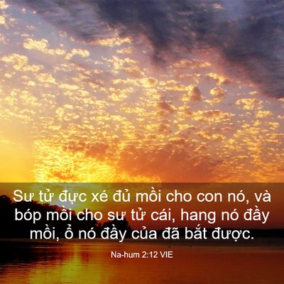 Picture 03 - Na-hum 2:12 VIE - Sư tử đực xé đủ mồi cho con nó, và - Bible Verse Picture