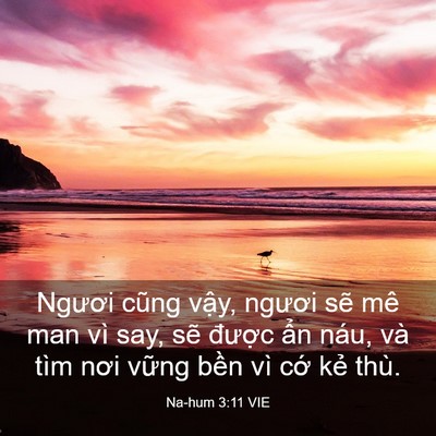 Picture 03 - Na-hum 3:11 VIE - Ngươi cũng vậy, ngươi sẽ mê man vì - Bible Verse Picture
