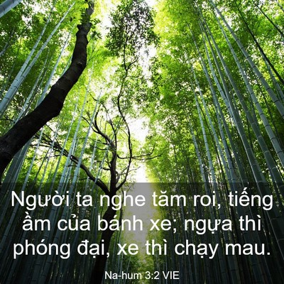 Picture 03 - Na-hum 3:2 VIE - Người ta nghe tăm roi, tiếng ầm của - Bible Verse Picture