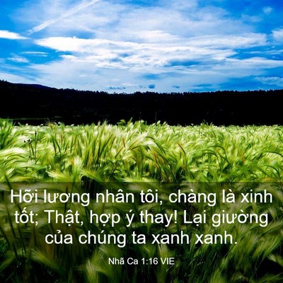 Picture 03 - Nhã Ca 1:16 VIE - Hỡi lương nhân tôi, chàng là xinh tốt; - Bible Verse Picture