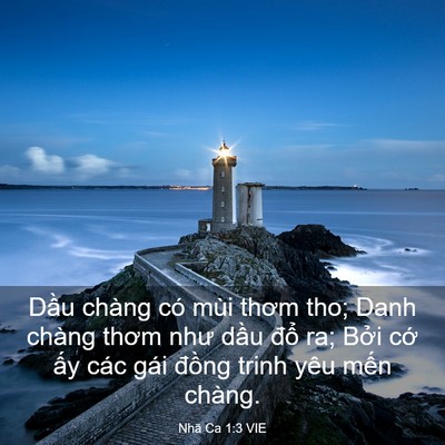 Picture 03 - Nhã Ca 1:3 VIE - Dầu chàng có mùi thơm tho; Danh chàng - Bible Verse Picture