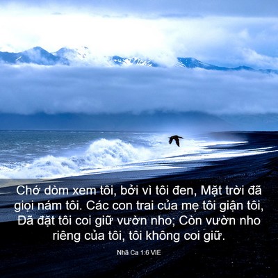 Picture 03 - Nhã Ca 1:6 VIE - Chớ dòm xem tôi, bởi vì tôi đen, Mặt - Bible Verse Picture
