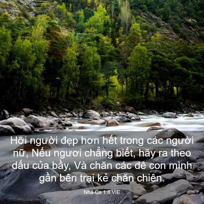 Picture 03 - Nhã Ca 1:8 VIE - Hỡi người đẹp hơn hết trong các - Bible Verse Picture