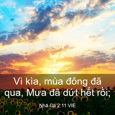Picture 03 - Nhã Ca 2:11 VIE - Vì kìa, mùa đông đã qua, Mưa đã dứt - Bible Verse Picture
