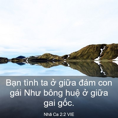 Picture 03 - Nhã Ca 2:2 VIE - Bạn tình ta ở giữa đám con gái Như - Bible Verse Picture