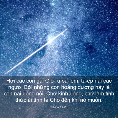 Picture 03 - Nhã Ca 2:7 VIE - Hỡi các con gái Giê-ru-sa-lem, ta ép nài - Bible Verse Picture
