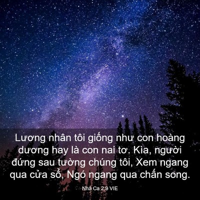 Picture 03 - Nhã Ca 2:9 VIE - Lương nhân tôi giống như con hoàng - Bible Verse Picture