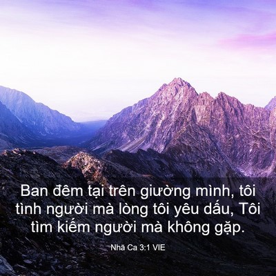 Picture 03 - Nhã Ca 3:1 VIE - Ban đêm tại trên giường mình, tôi tình - Bible Verse Picture