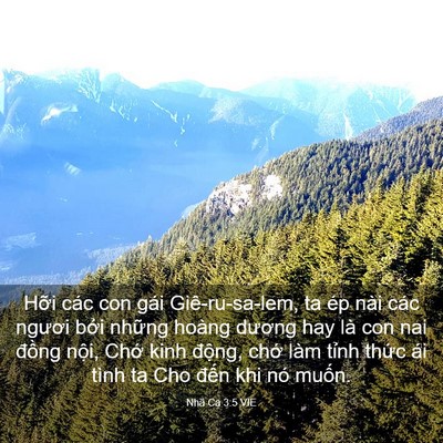 Picture 03 - Nhã Ca 3:5 VIE - Hỡi các con gái Giê-ru-sa-lem, ta ép nài - Bible Verse Picture