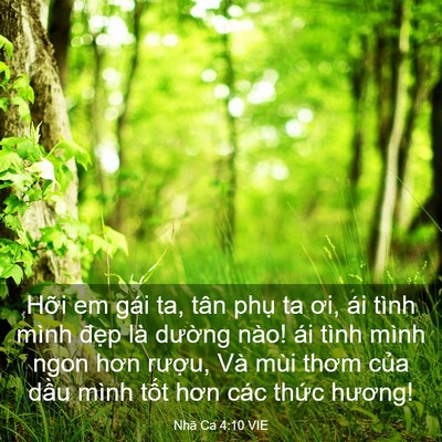 Picture 03 - Nhã Ca 4:10 VIE - Hỡi em gái ta, tân phụ ta ơi, ái tình - Bible Verse Picture