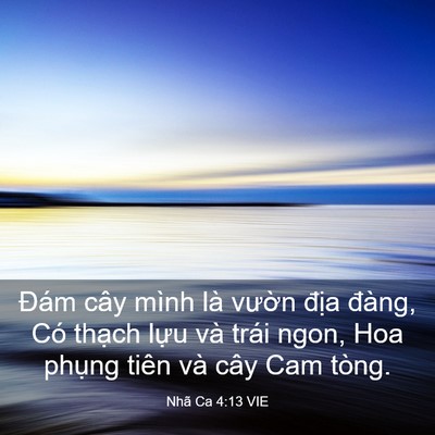 Picture 03 - Nhã Ca 4:13 VIE - Đám cây mình là vườn địa đàng, Có - Bible Verse Picture