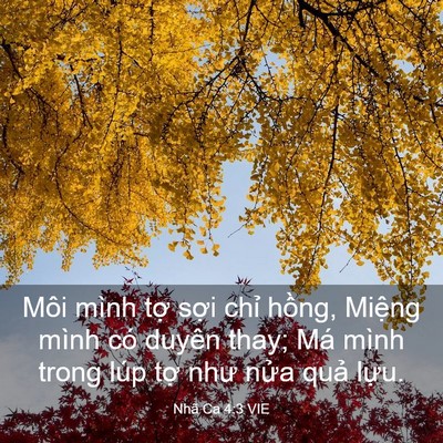 Picture 03 - Nhã Ca 4:3 VIE - Môi mình tợ sợi chỉ hồng, Miệng mình - Bible Verse Picture