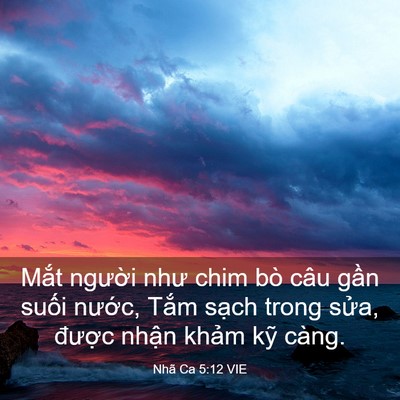 Picture 03 - Nhã Ca 5:12 VIE - Mắt người như chim bò câu gần suối - Bible Verse Picture