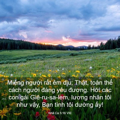 Picture 03 - Nhã Ca 5:16 VIE - Miệng người rất êm dịu; Thật, toàn - Bible Verse Picture