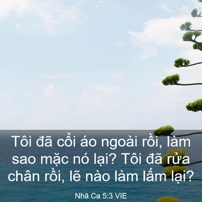 Picture 03 - Nhã Ca 5:3 VIE - Tôi đã cổi áo ngoài rồi, làm sao mặc - Bible Verse Picture