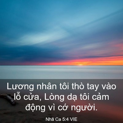 Picture 03 - Nhã Ca 5:4 VIE - Lương nhân tôi thò tay vào lỗ cửa, - Bible Verse Picture