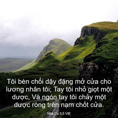 Picture 03 - Nhã Ca 5:5 VIE - Tôi bèn chổi dậy đặng mở cửa cho - Bible Verse Picture