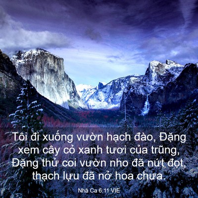 Picture 03 - Nhã Ca 6:11 VIE - Tôi đi xuống vườn hạch đào, Đặng - Bible Verse Picture