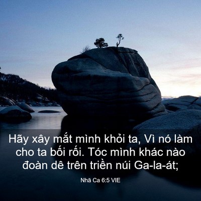 Picture 03 - Nhã Ca 6:5 VIE - Hãy xây mắt mình khỏi ta, Vì nó làm cho - Bible Verse Picture