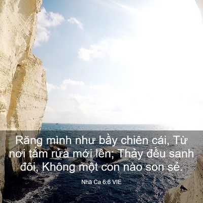 Picture 03 - Nhã Ca 6:6 VIE - Răng mình như bầy chiên cái, Từ nơi - Bible Verse Picture