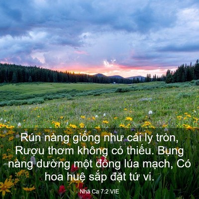 Picture 03 - Nhã Ca 7:2 VIE - Rún nàng giống như cái ly tròn, Rượu - Bible Verse Picture