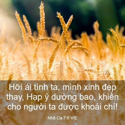 Picture 03 - Nhã Ca 7:6 VIE - Hỡi ái tình ta, mình xinh đẹp thay, Hạp - Bible Verse Picture