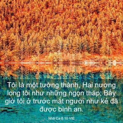 Picture 03 - Nhã Ca 8:10 VIE - Tôi là một tường thành, Hai nương long - Bible Verse Picture