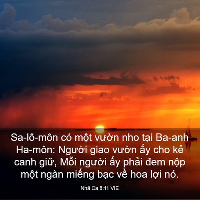 Picture 03 - Nhã Ca 8:11 VIE - Sa-lô-môn có một vườn nho tại Ba-anh - Bible Verse Picture