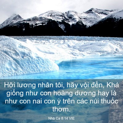 Picture 03 - Nhã Ca 8:14 VIE - Hỡi lương nhân tôi, hãy vội đến, Khá - Bible Verse Picture