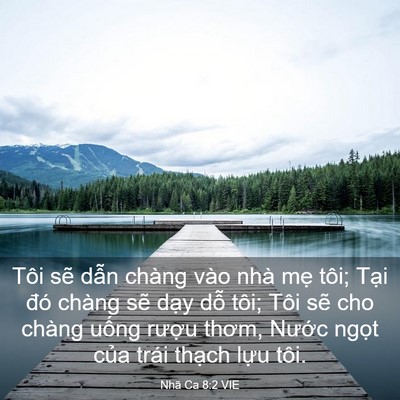 Picture 03 - Nhã Ca 8:2 VIE - Tôi sẽ dẫn chàng vào nhà mẹ tôi; Tại - Bible Verse Picture