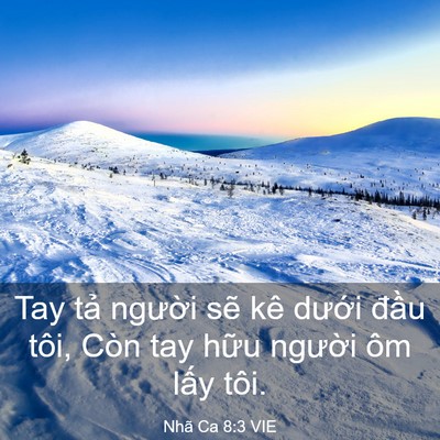 Picture 03 - Nhã Ca 8:3 VIE - Tay tả người sẽ kê dưới đầu tôi, - Bible Verse Picture