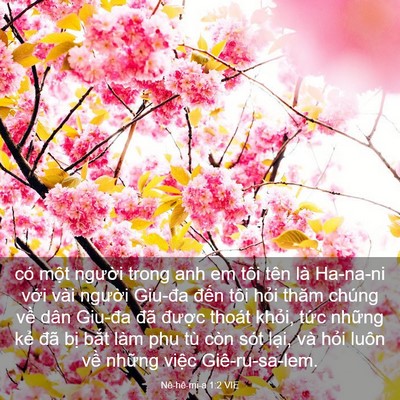 Picture 03 - Nê-hê-mi-a 1:2 VIE - có một người trong anh em tôi tên là - Bible Verse Picture