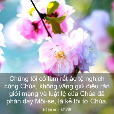 Picture 03 - Nê-hê-mi-a 1:7 VIE - Chúng tôi có làm rất ác tệ nghịch - Bible Verse Picture