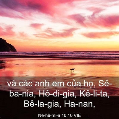 Picture 03 - Nê-hê-mi-a 10:10 VIE - và các anh em của họ, Sê-ba-nia, - Bible Verse Picture