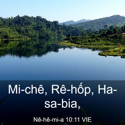Picture 03 - Nê-hê-mi-a 10:11 VIE - Mi-chê, Rê-hốp, - Bible Verse Picture