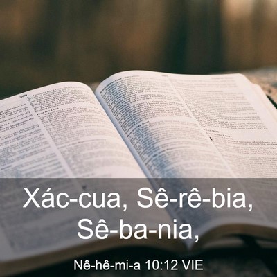 Picture 03 - Nê-hê-mi-a 10:12 VIE - Xác-cua, Sê-rê-bia, - Bible Verse Picture