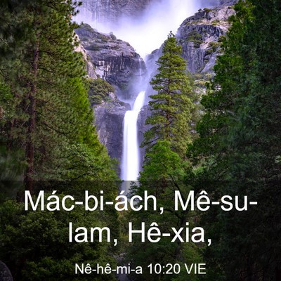 Picture 03 - Nê-hê-mi-a 10:20 VIE - Mác-bi-ách, Mê-su-lam, - Bible Verse Picture