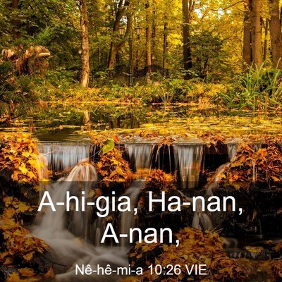 Picture 03 - Nê-hê-mi-a 10:26 VIE - A-hi-gia, Ha-nan, - Bible Verse Picture