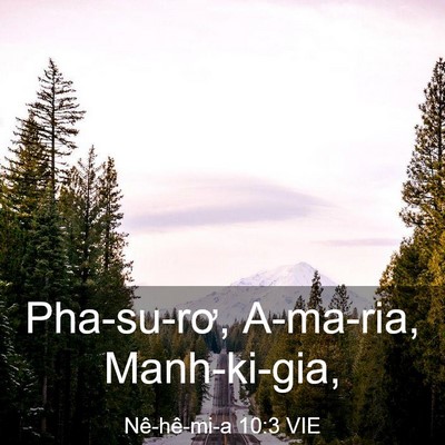 Picture 03 - Nê-hê-mi-a 10:3 VIE - Pha-su-rơ, A-ma-ria, - Bible Verse Picture