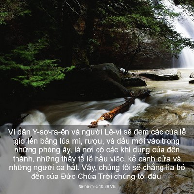 Picture 03 - Nê-hê-mi-a 10:39 VIE - Vì dân Y-sơ-ra-ên và người Lê-vi sẽ - Bible Verse Picture