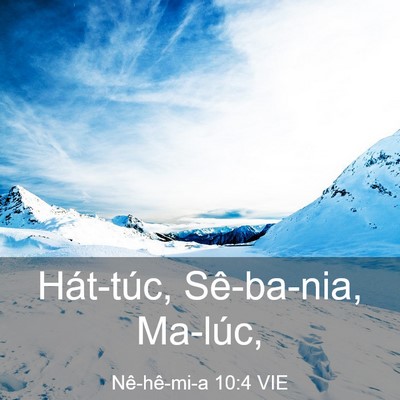 Picture 03 - Nê-hê-mi-a 10:4 VIE - Hát-túc, Sê-ba-nia, - Bible Verse Picture