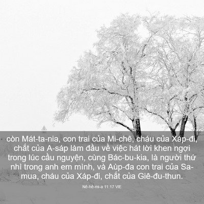 Picture 03 - Nê-hê-mi-a 11:17 VIE - còn Mát-ta-nia, con trai của Mi-chê, cháu - Bible Verse Picture