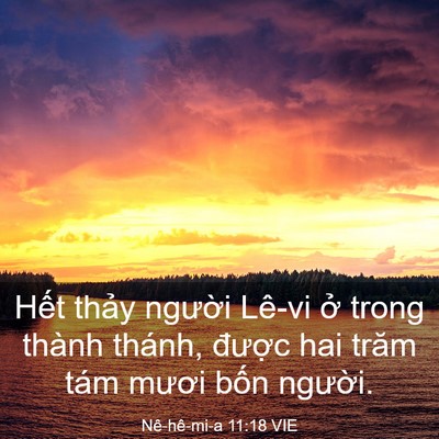 Picture 03 - Nê-hê-mi-a 11:18 VIE - Hết thảy người Lê-vi ở trong thành - Bible Verse Picture