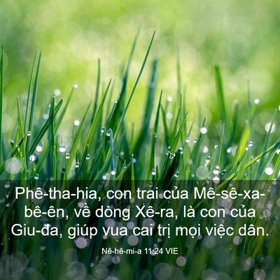 Picture 03 - Nê-hê-mi-a 11:24 VIE - Phê-tha-hia, con trai của Mê-sê-xa-bê-ên, - Bible Verse Picture