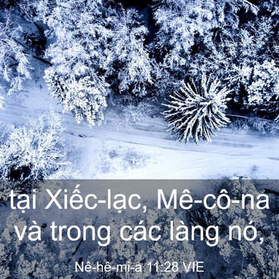 Picture 03 - Nê-hê-mi-a 11:28 VIE - tại Xiếc-lạc, Mê-cô-na và trong các - Bible Verse Picture