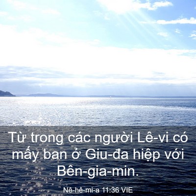 Picture 03 - Nê-hê-mi-a 11:36 VIE - Từ trong các người Lê-vi có mấy ban ở - Bible Verse Picture