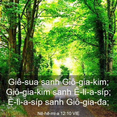 Picture 03 - Nê-hê-mi-a 12:10 VIE - Giê-sua sanh Giô-gia-kim; Giô-gia-kim sanh - Bible Verse Picture